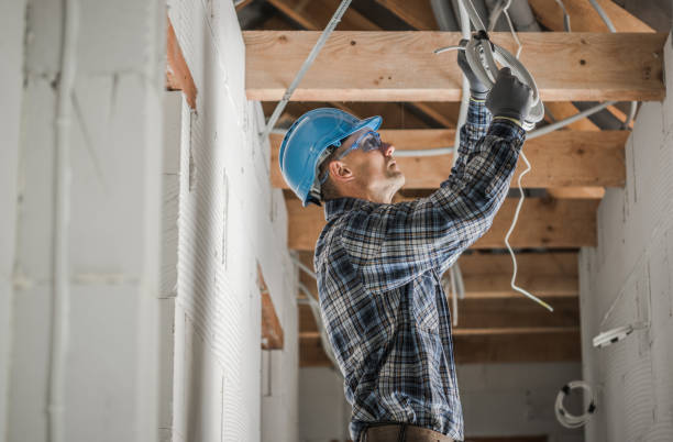 Best Electrician for Home Renovation  in Cologne, MN