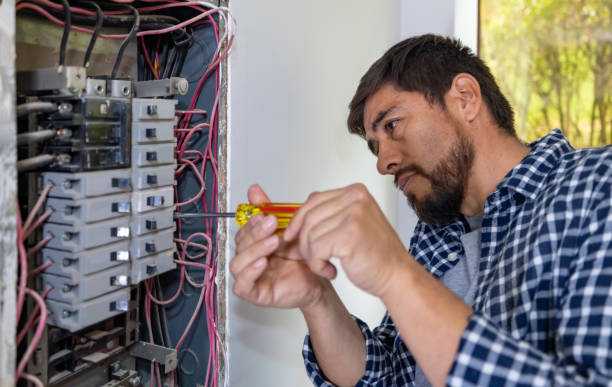 Best Electrician for Home Renovation  in Cologne, MN